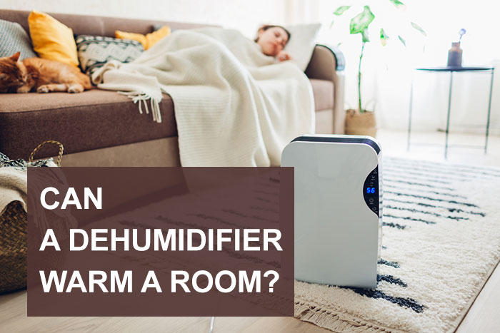 Can-a-Dehumidifier-Warm-a-Room