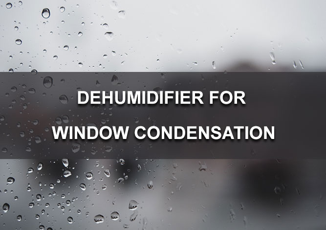 Dehumidifier-for-Window-Condensation
