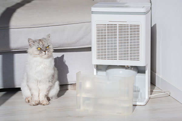 Are-Dehumidifiers-Safe-For-Pets